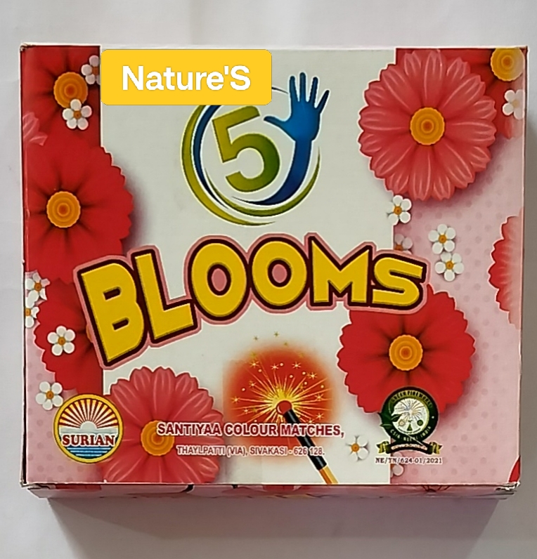 BLOOM MATCH 1BOX 100 STICKS